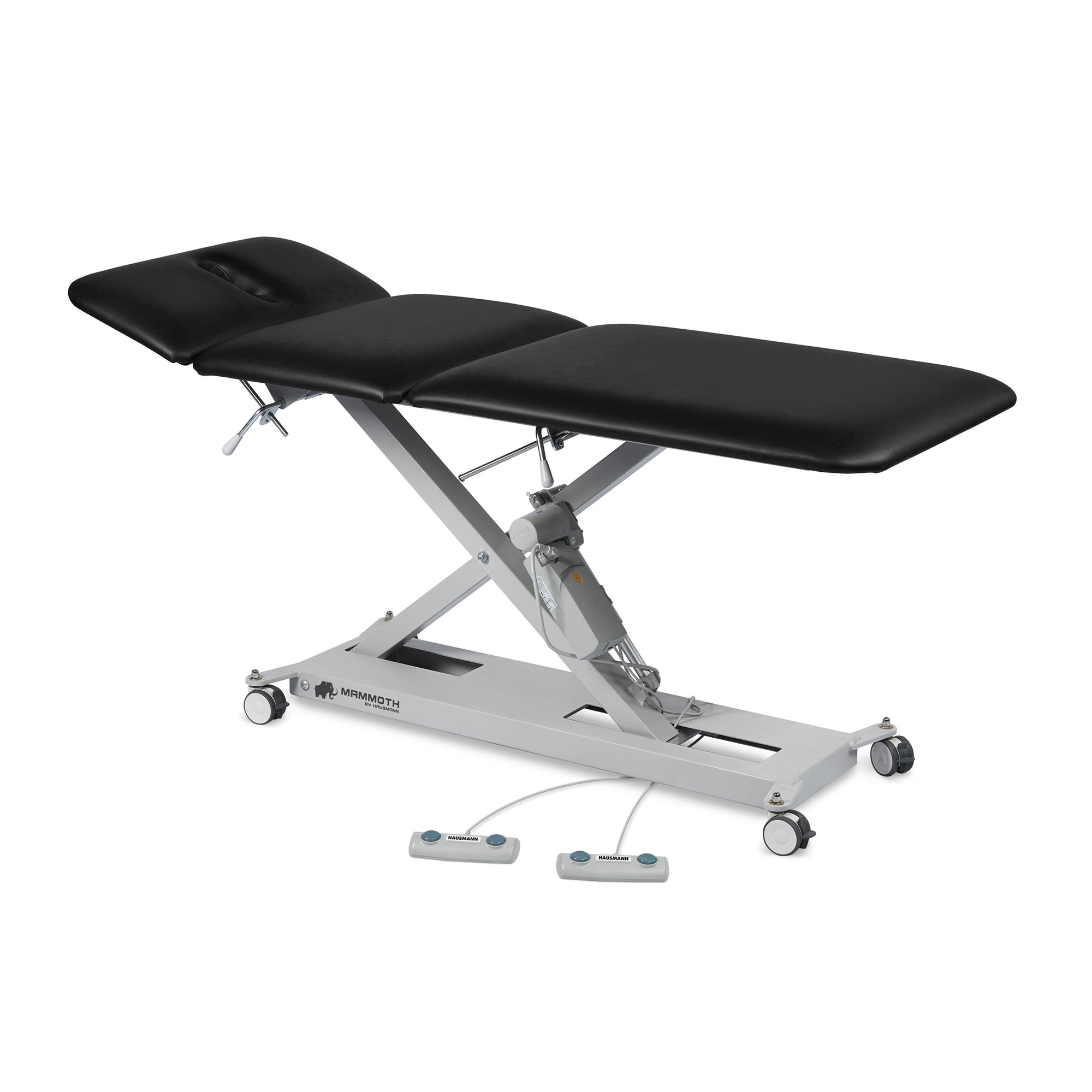 Mammoth 3: 3-Section Hi-Lo Treatment Table